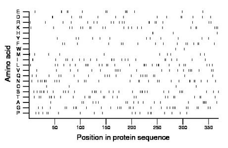 amino acid map