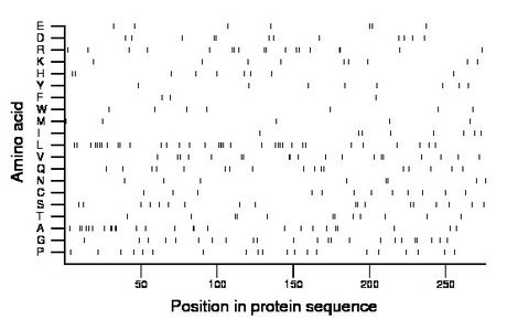 amino acid map