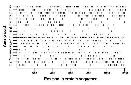 amino acid map