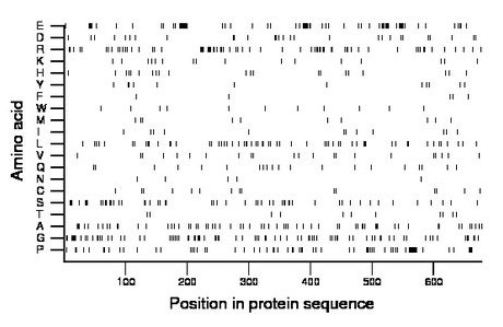 amino acid map