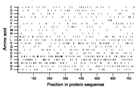 amino acid map