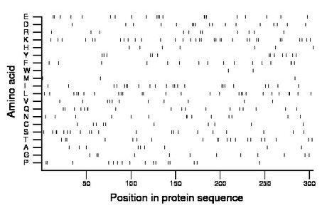 amino acid map