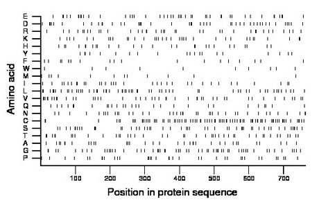 amino acid map