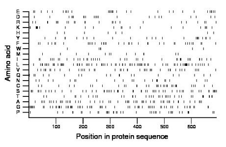 amino acid map