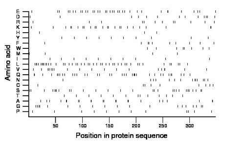 amino acid map