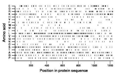 amino acid map