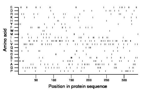 amino acid map