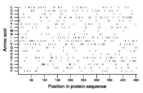 amino acid map