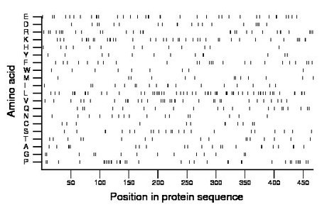 amino acid map