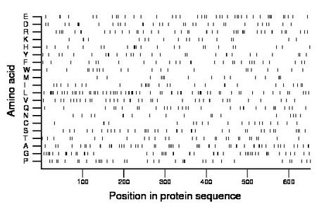 amino acid map