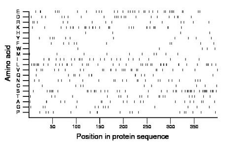 amino acid map