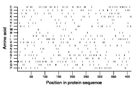 amino acid map