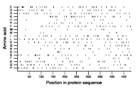 amino acid map