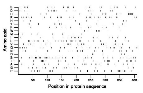 amino acid map