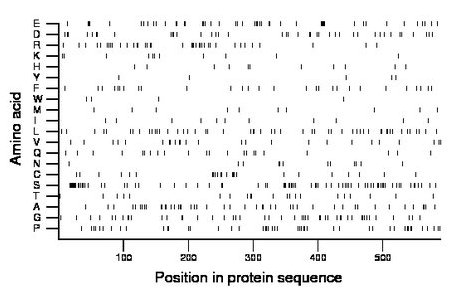 amino acid map