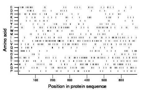 amino acid map