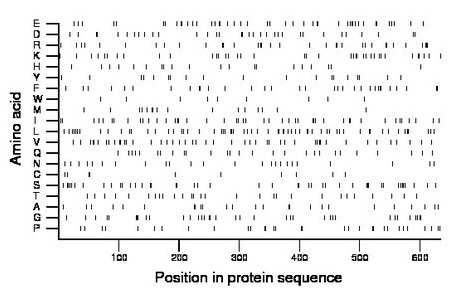 amino acid map