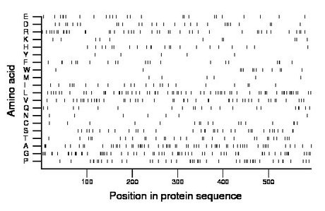 amino acid map