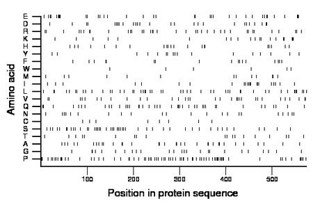 amino acid map