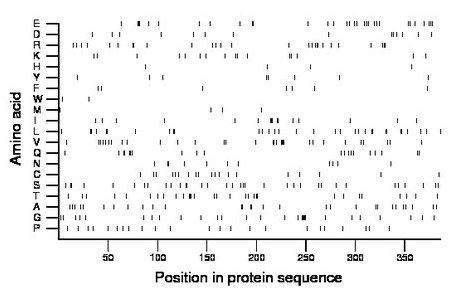 amino acid map