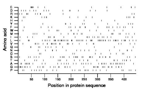 amino acid map