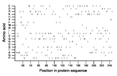 amino acid map