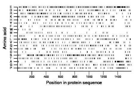 amino acid map