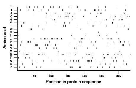 amino acid map