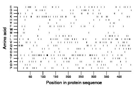 amino acid map