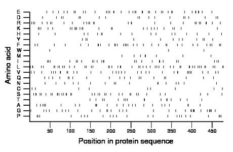 amino acid map