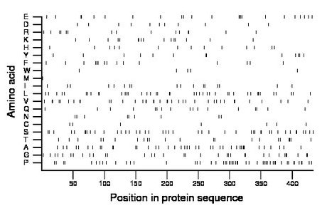 amino acid map