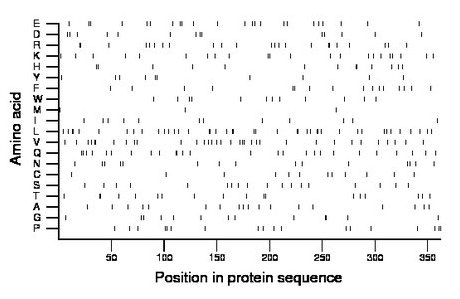 amino acid map