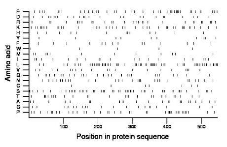 amino acid map