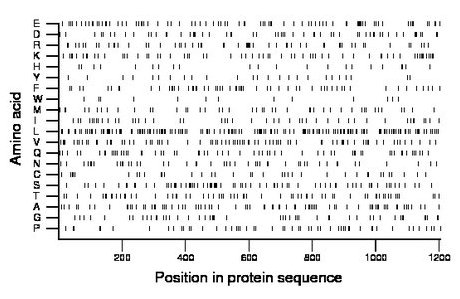 amino acid map