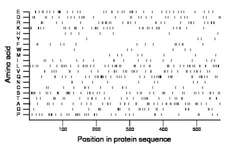 amino acid map