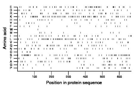 amino acid map