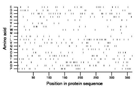 amino acid map