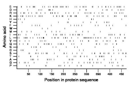 amino acid map