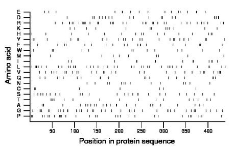 amino acid map