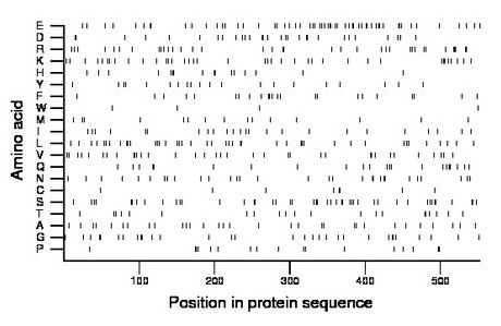 amino acid map