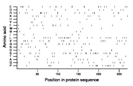 amino acid map