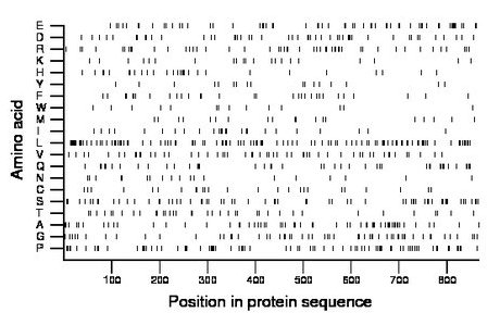 amino acid map