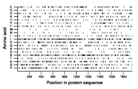 amino acid map