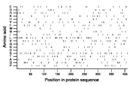 amino acid map