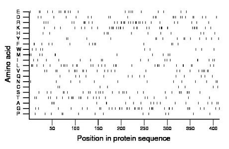 amino acid map