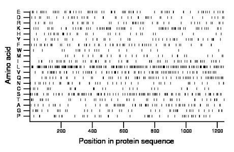 amino acid map