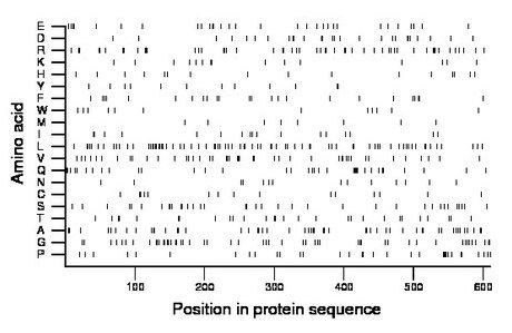 amino acid map