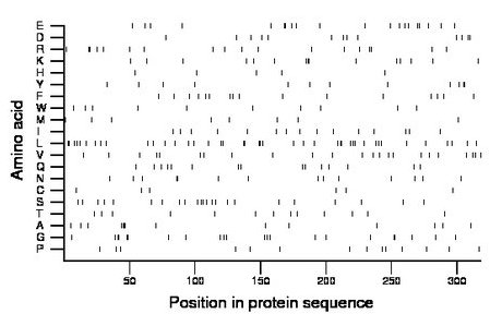 amino acid map