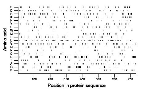 amino acid map