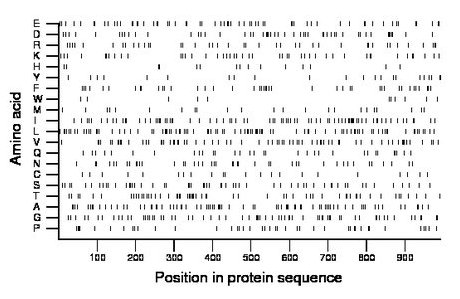 amino acid map